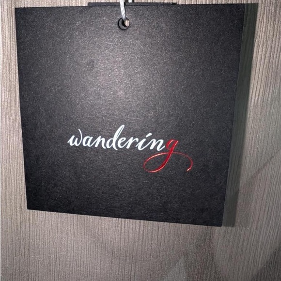 NWT Wandering Caftan Silk Dress Size 38 Italian US Size 2 - Picture 11 of 13